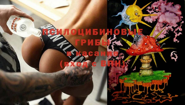 дмт Надым