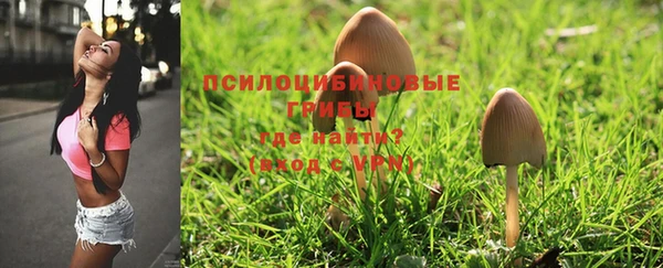 дмт Надым